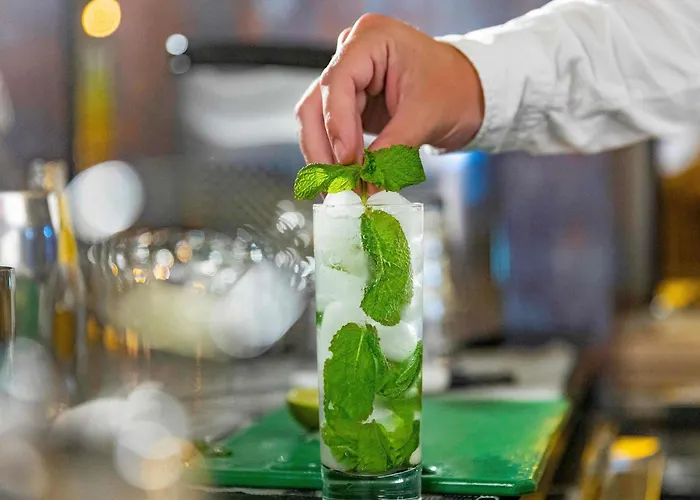 Hotel Ibis Styles Centro Liberdade Ne