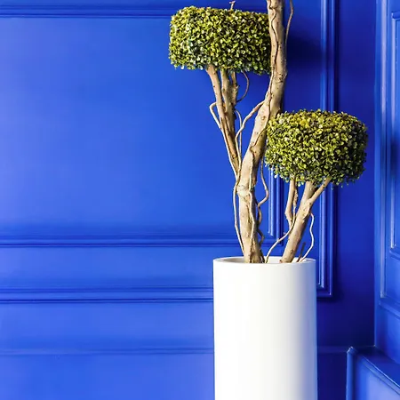 Ibis Styles Centro Liberdade Ne Hotel Lisboa