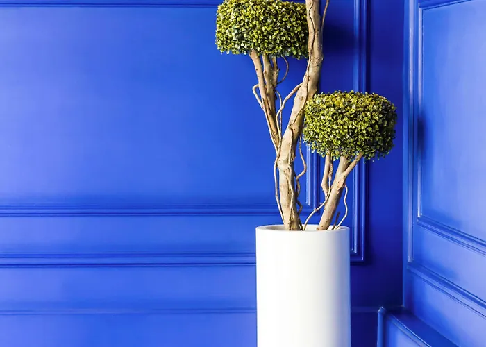 Ibis Styles Centro Liberdade Ne Hotel Lissabon